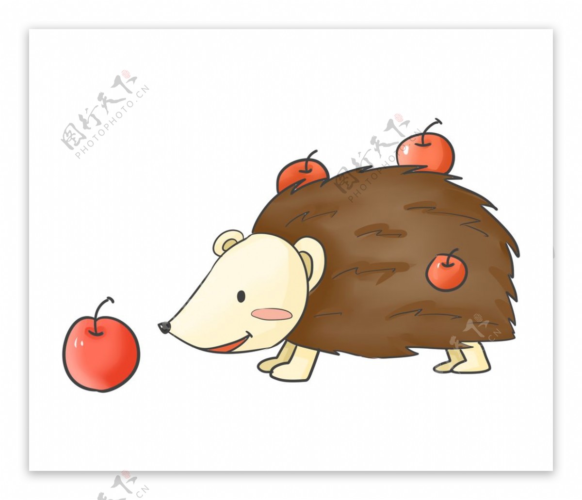 刺猬苹果插画图片