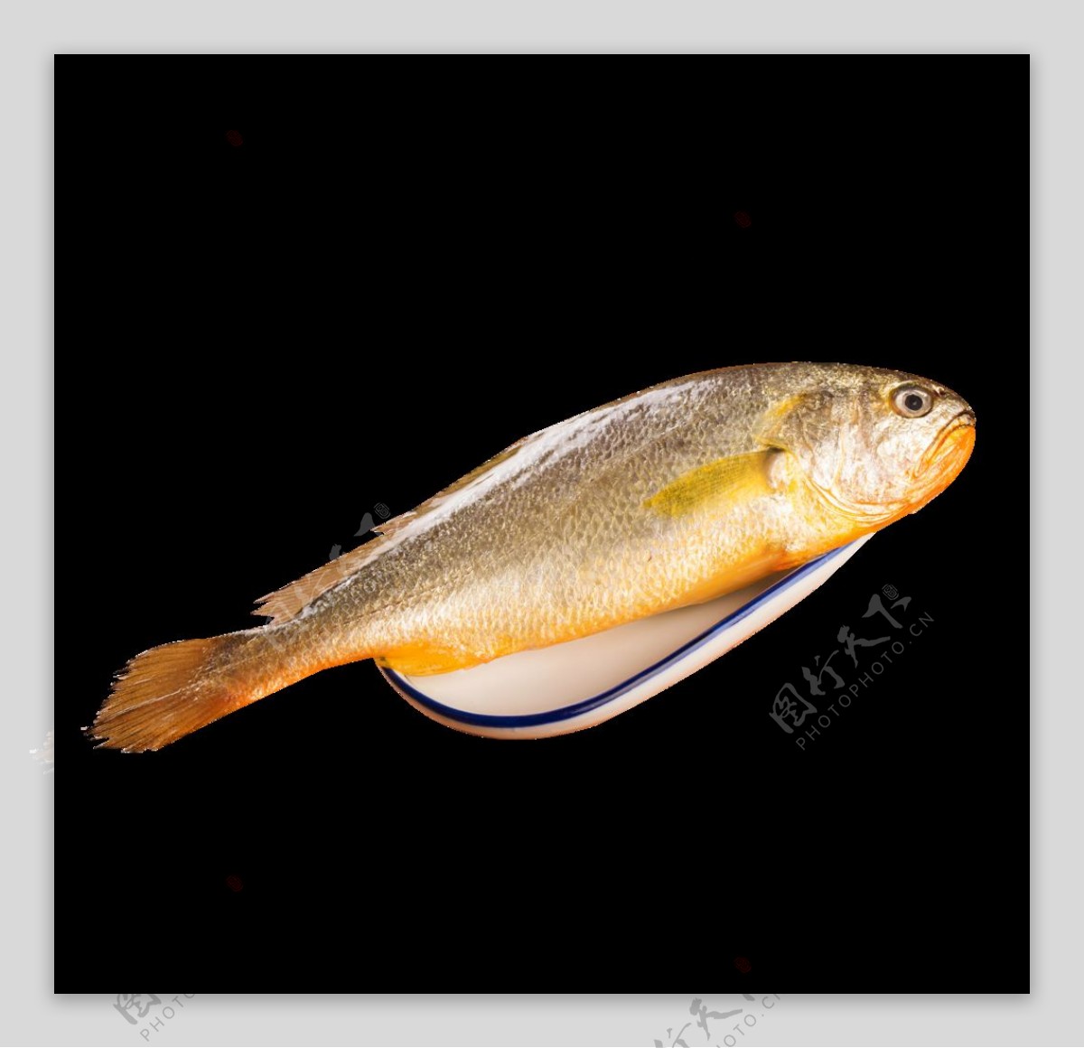 味道鲜美的红烧黄花鱼，给想吃鱼的你解解馋|黄花鱼|鱼|步骤_新浪新闻