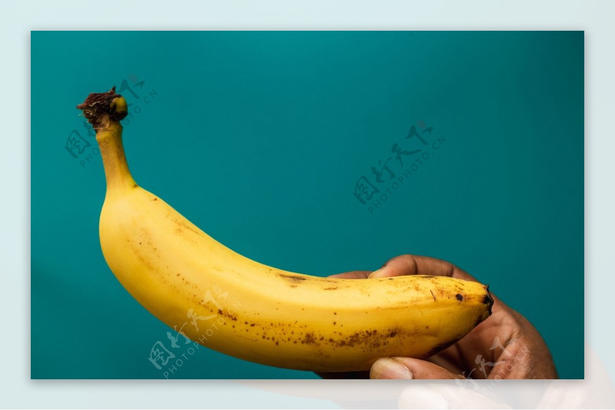香蕉摄影图__水果_生物世界_摄影图库_昵图网nipic.com
