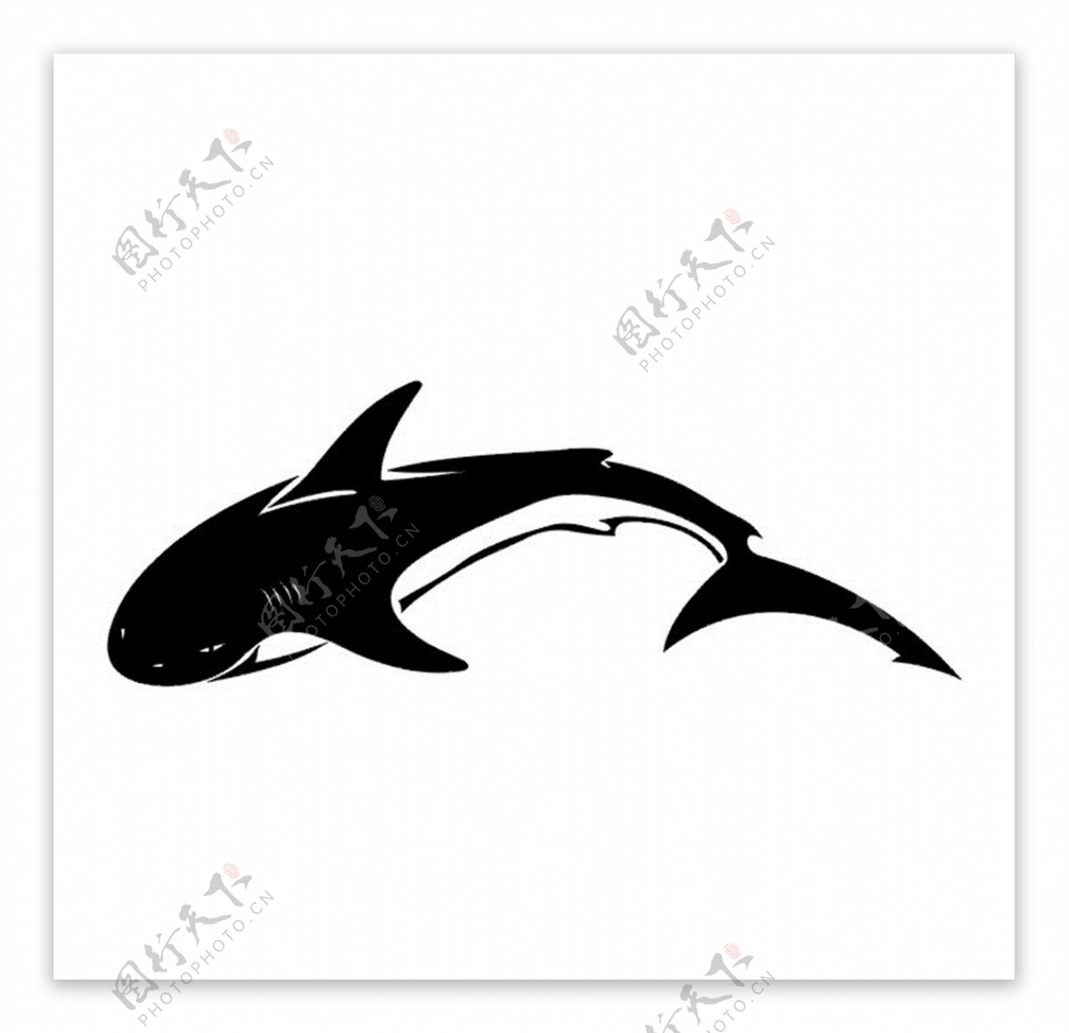 鲨鱼雕刻图案素材图片