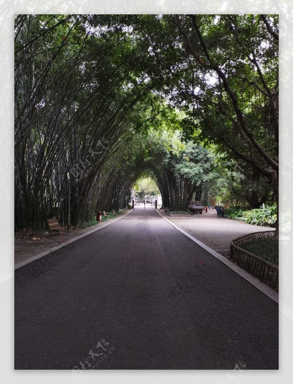 园林风景道路景观竹林图片