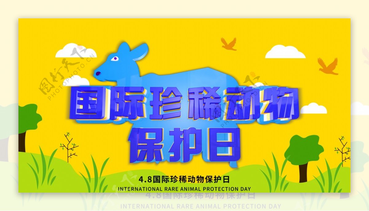 国际珍惜动物保护日图片